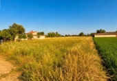 Chalet independiente con terreno en venta en la España, Dolores, ref: TR411223 foto