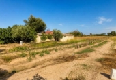 Chalet independiente con terreno en venta en la España, Dolores, ref: TR411223 foto