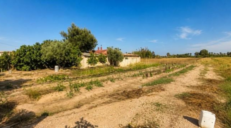 Alicante - Dolores - 10600m2