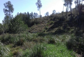 Olivella 1004&nbsp;m² 
