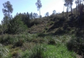 Sòl urbà en venda a la España, Olivella, ref.: TR411232 foto