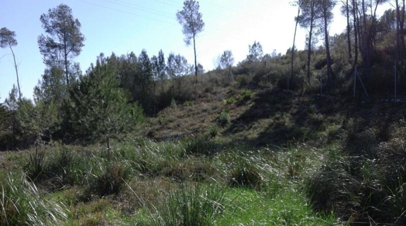 Barcelona - Olivella - 1004m2