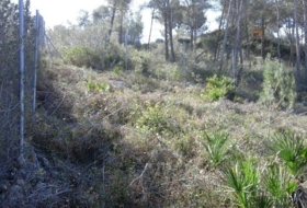 Olivella 1004&nbsp;m² 