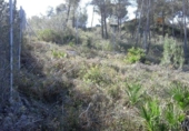 Sòl urbà en venda a la España, Olivella, ref.: TR411232 foto