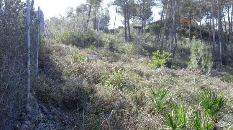 Barcelona - Olivella - 1004m2