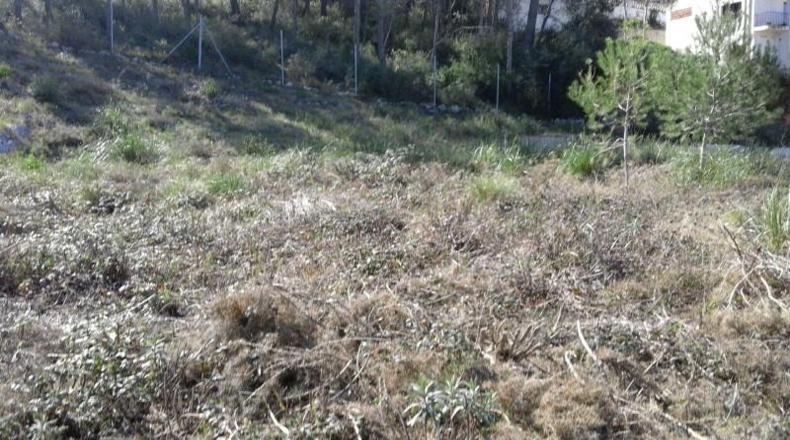 Barcelona - Olivella - 1004m2