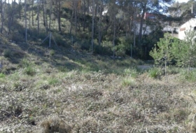 Olivella 1004&nbsp;m² 