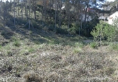 Sòl urbà en venda a la España, Olivella, ref.: TR411232 foto