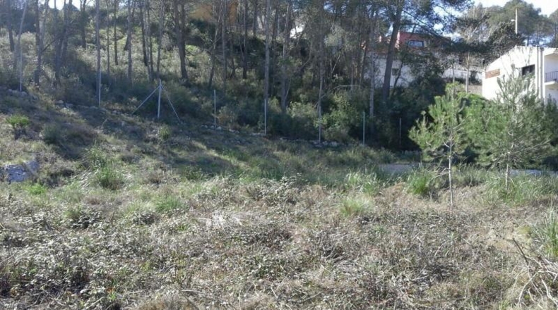 Barcelona - Olivella - 1004m2