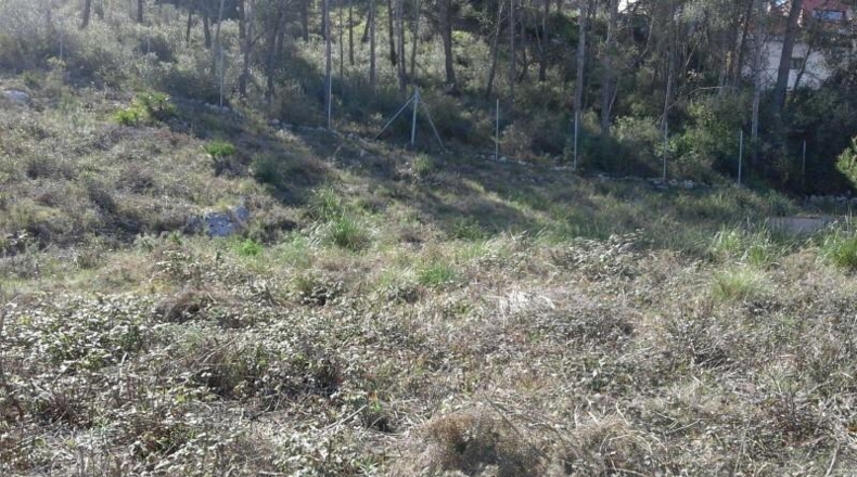 Barcelona - Olivella - 1004m2