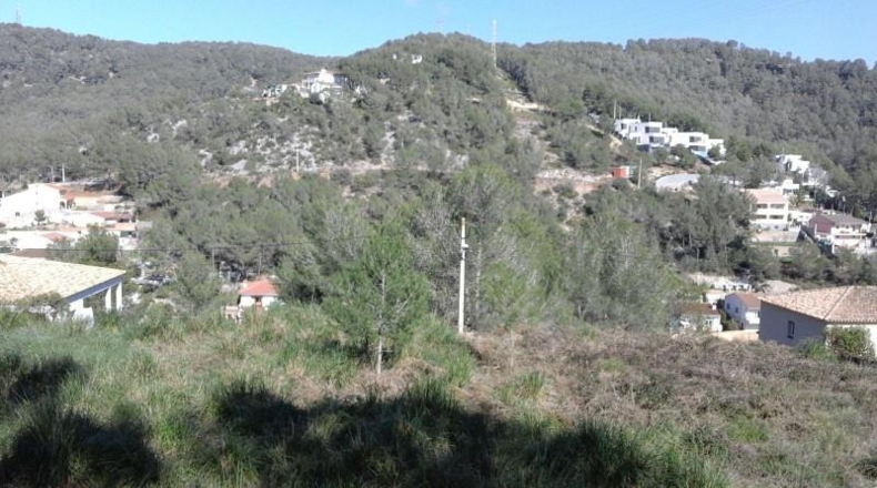 Barcelona - Olivella - 1004m2