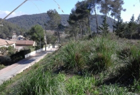Olivella 1004&nbsp;m² 