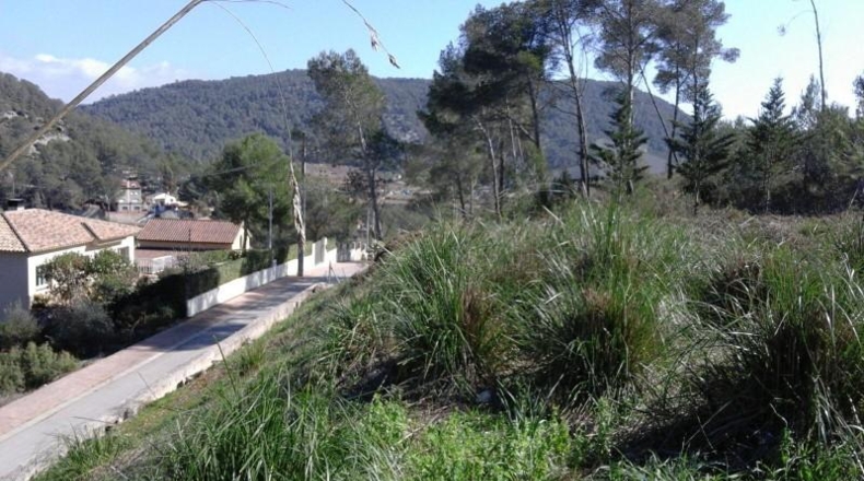 Barcelona - Olivella - 1004m2