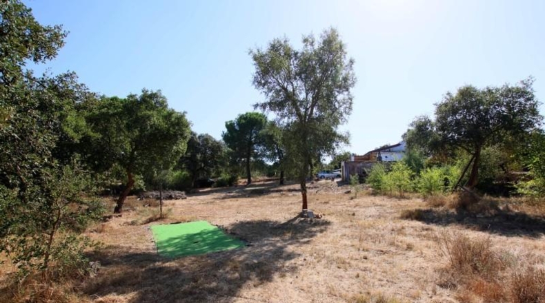 Badajoz - Badajoz - 5000m2