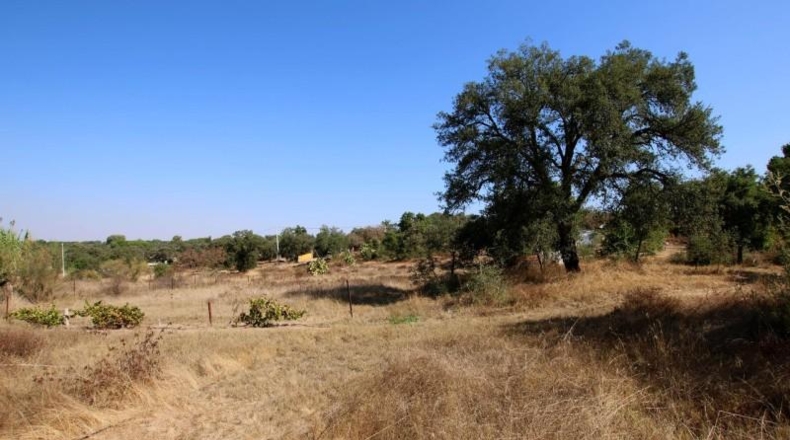 Badajoz - Badajoz - 5000m2