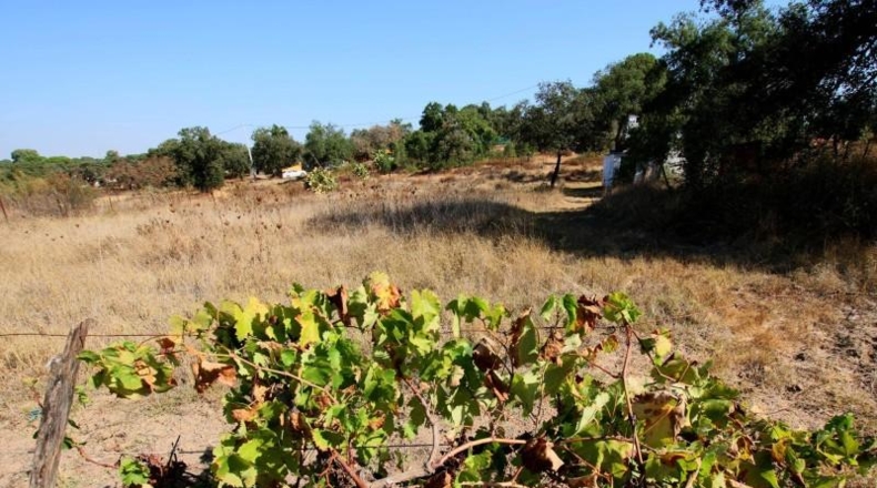 Badajoz - Badajoz - 5000m2