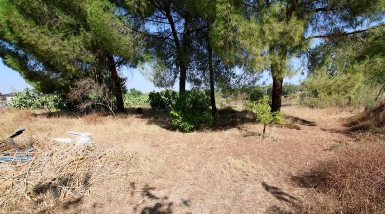 Badajoz - Badajoz - 5000m2