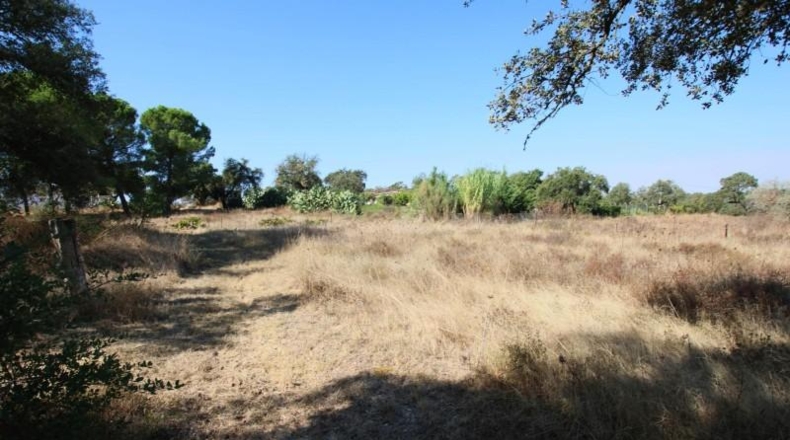 Badajoz - Badajoz - 5000m2