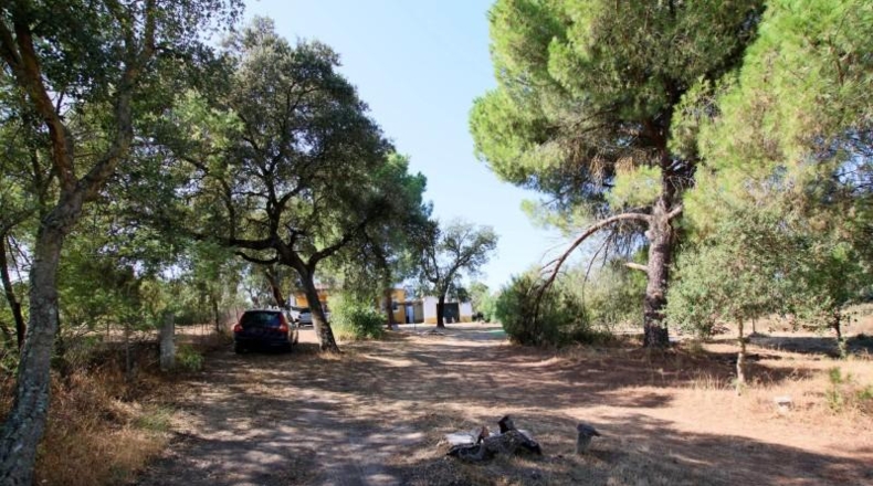 Badajoz - Badajoz - 5000m2