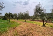 Chalet independiente con terreno en venta en la España, La Granjuela, ref: TR134770 foto