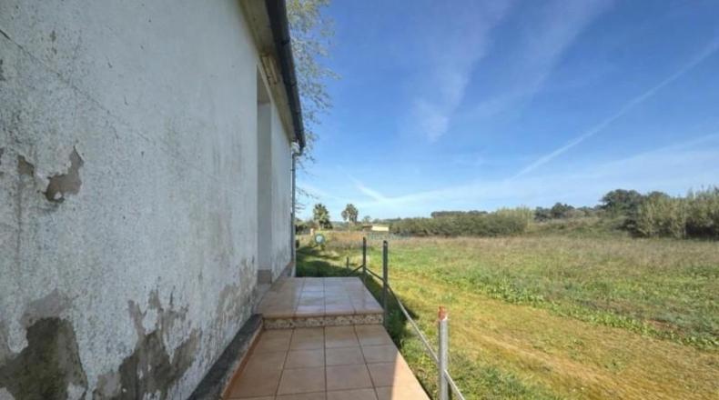 Valencia - Benicolet - 40600m2