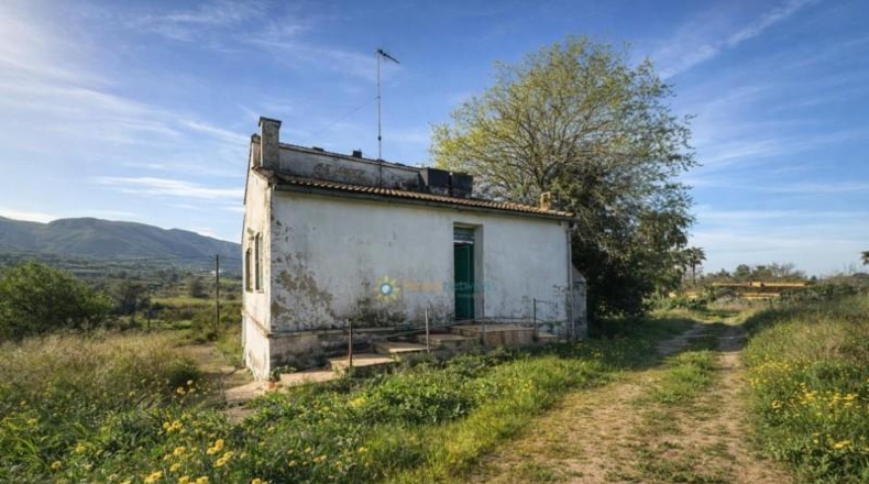 Valencia - Benicolet - 40600m2