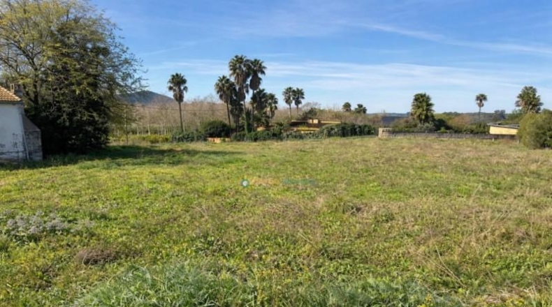 Valencia - Benicolet - 40600m2