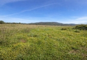 Country house with land for sale on España, Benicolet, ref: TR404128 photo