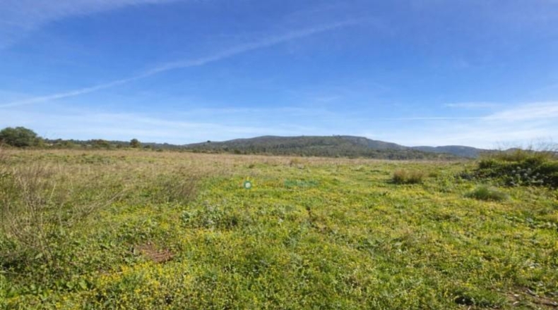 Valencia - Benicolet - 40600m2