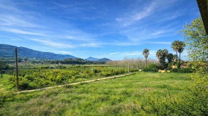 Valencia - Benicolet - 40600m2