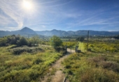 Country house with land for sale on España, Benicolet, ref: TR404128 photo