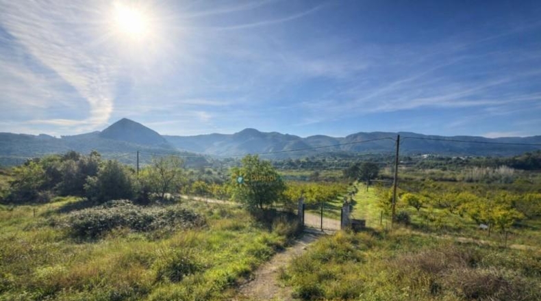 Valencia - Benicolet - 40600m2