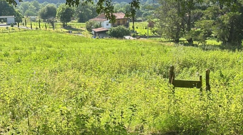Cantabria - Pomaluengo - 7489m2