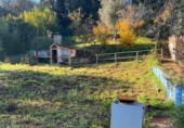 Parcel·la urbanitzable en venda a la España, Can Farell, ref.: TR318360 foto