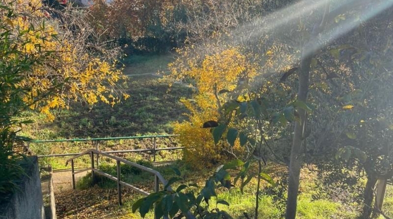 Barcelona - Can Farell - 1500m2