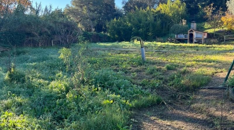 Barcelona - Can Farell - 1500m2