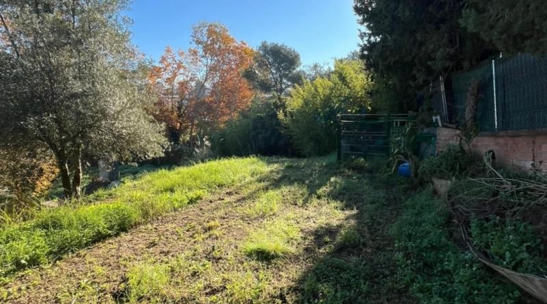 Barcelona - Can Farell - 1500m2