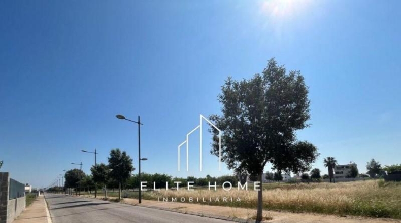 Castellón - Almassora - 1352m2
