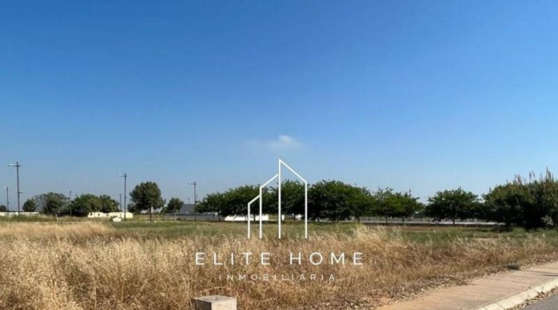 Castellón - Almassora - 1352m2