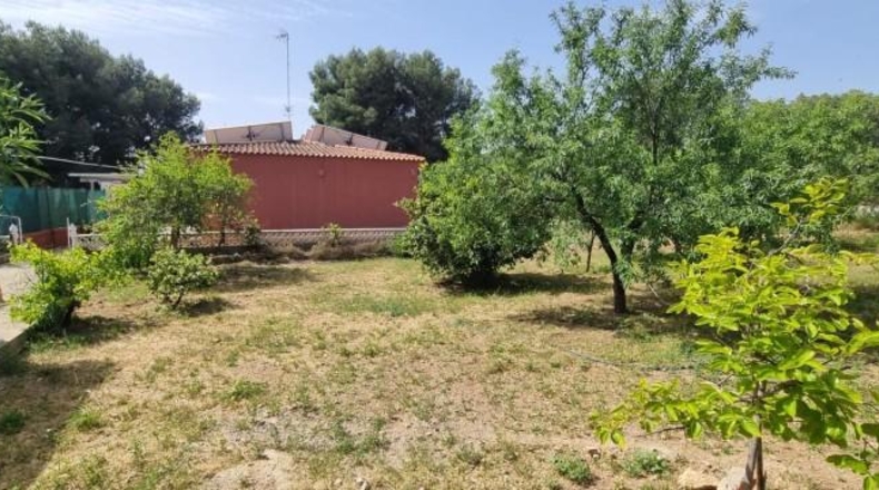 Valencia - Picassent - 1800m2