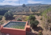 Detached villa with land for sale on España, Casinos, ref: TR411259 photo