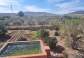 Detached villa with land for sale on España, Casinos, ref: TR411259 photo