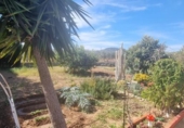 Detached villa with land for sale on España, Casinos, ref: TR411259 photo