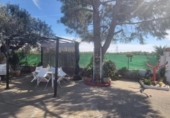 Detached villa with land for sale on España, Casinos, ref: TR411259 photo