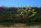 Дом с участком на продажу в городе Castelldefels Фото