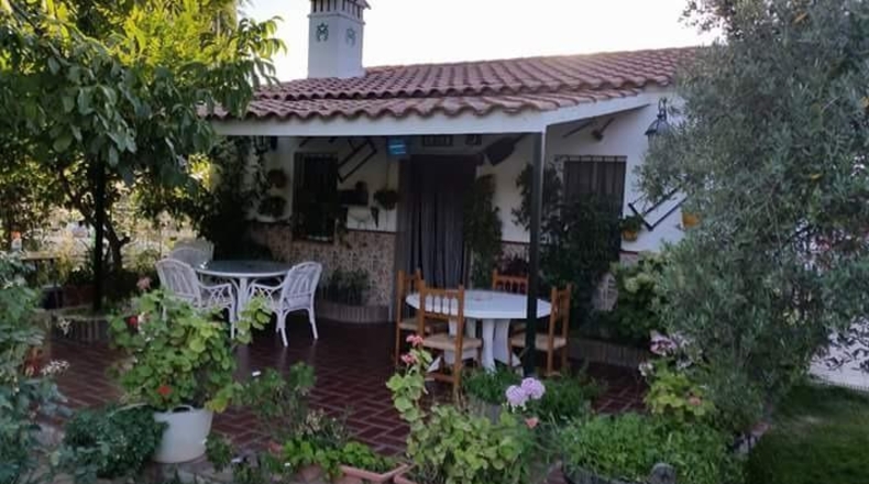 Sevilla - Guadalcanal - 3m2