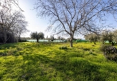 Casa de camp amb terreny en venda a la España, Cádiar, ref.: TR411280 foto