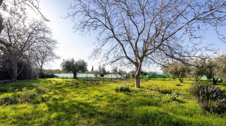 Granada - Cádiar - 2000m2