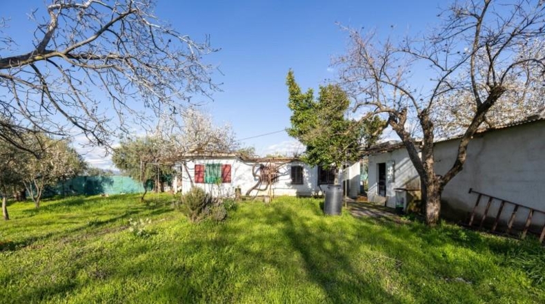 Granada - Cádiar - 2000m2