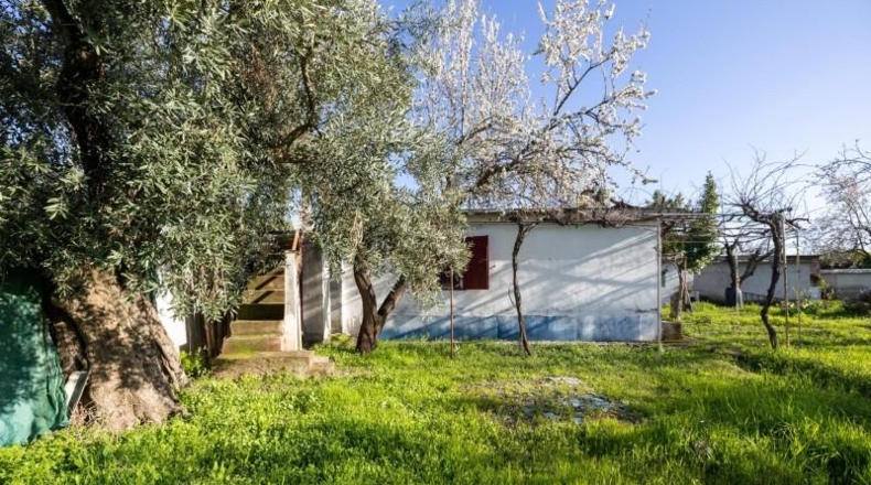 Granada - Cádiar - 2000m2